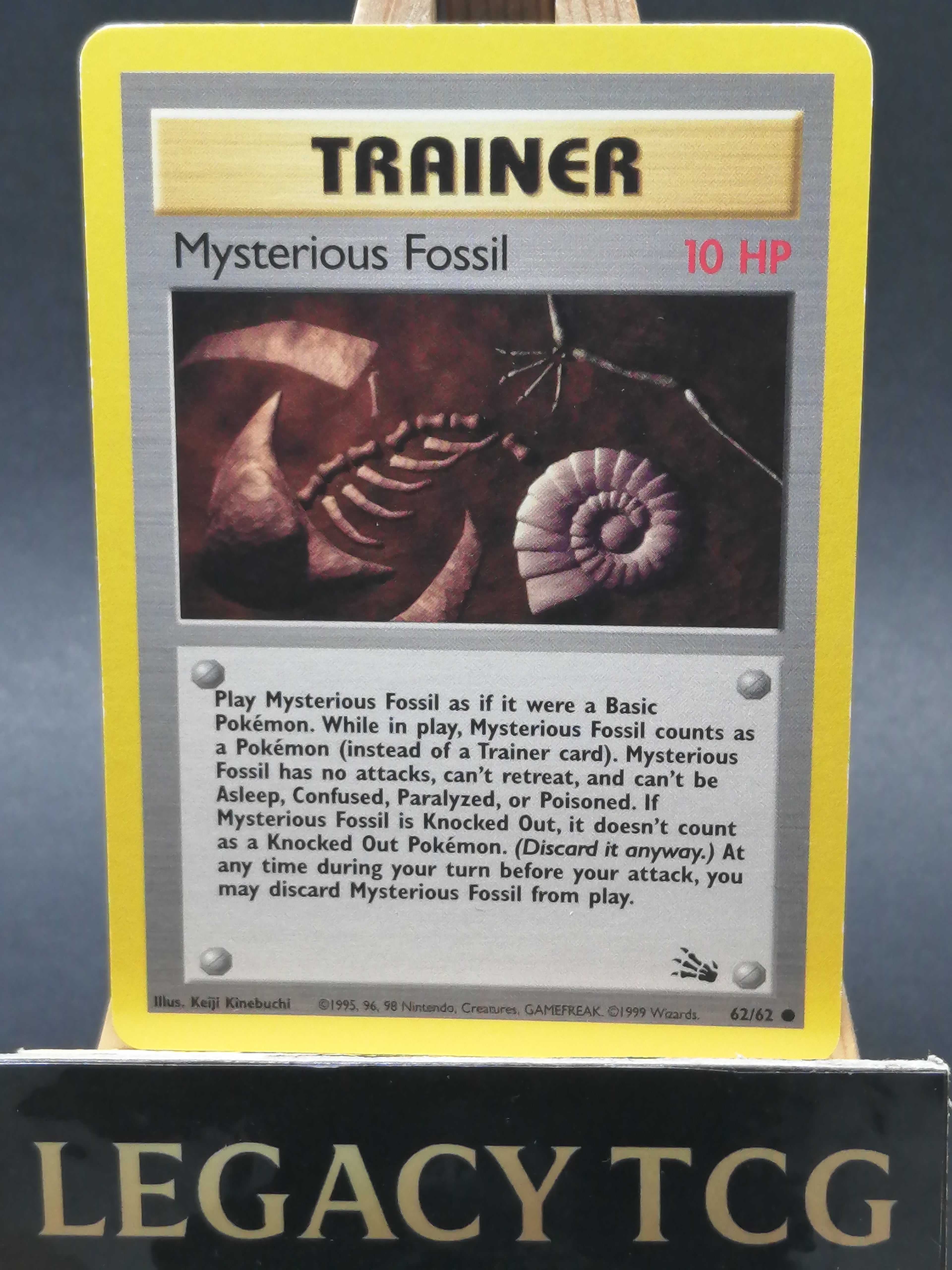 Mysterious Fossil 62/62