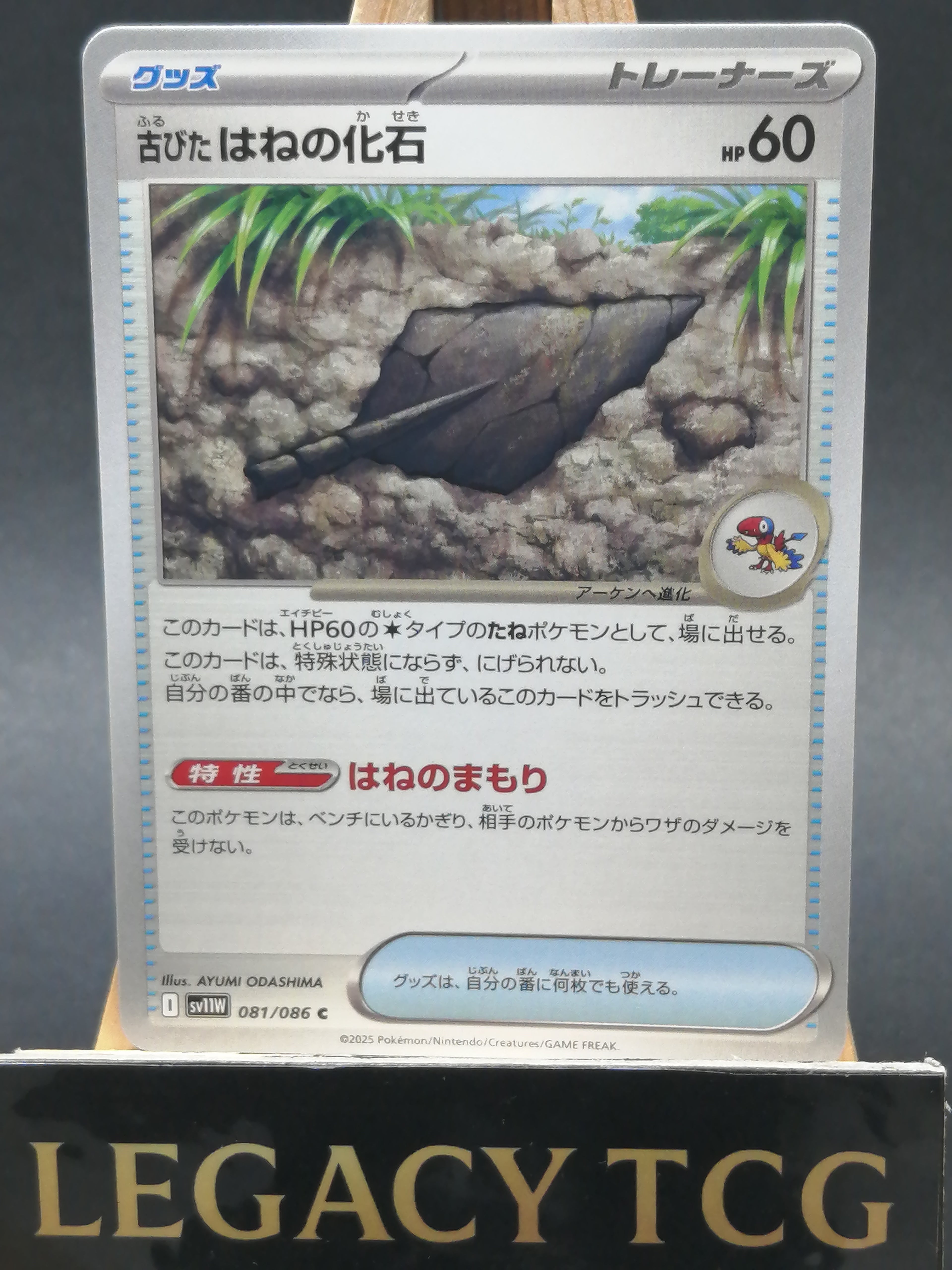 Antique Plume Fossil (JP) 081/086